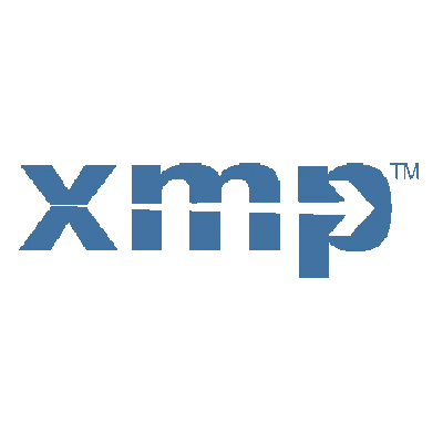 XMP metadata in Pdf document